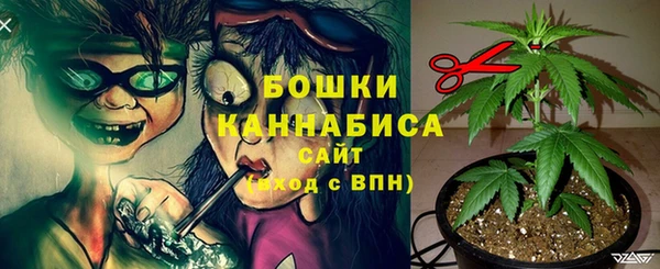 2c-b Беломорск