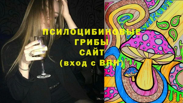 ГАЛЛЮЦИНОГЕННЫЕ ГРИБЫ Баксан