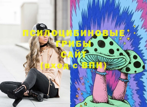 ГАЛЛЮЦИНОГЕННЫЕ ГРИБЫ Баксан