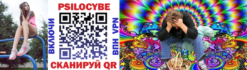 Псилоцибиновые грибы Psilocybe  Кулебаки 